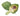 Artichokes is available now at a Great Price at BalPary Russian Iranian Afghan Iraqi Arabic Mediterranean Middle East Products Online App Delivery image.