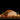 Boar's Head EverRoasted Chicken is available now at a Great Price at BalPary Russian Iranian Afghan Iraqi Arabic Mediterranean Middle East Products Online App Delivery image.