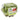 Petes Living Greens, Butter Lettuce, Home Harvest Pack at a Great Price at BalPary Mediterranean Middle East Products Online App Delivery image.