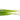 Organic Green Onions is available now at a Great Price at BalPary Russian Iranian Afghan Iraqi Arabic Mediterranean Middle East Products Online App Delivery image.