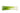 Organic Green Onions is available now at a Great Price at BalPary Russian Iranian Afghan Iraqi Arabic Mediterranean Middle East Products Online App Delivery image.