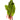 Swiss Chard Greens is available now at a Great Price at BalPary Russian Iranian Afghan Iraqi Arabic Mediterranean Middle East Products Online App Delivery image.