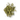 Dried Clover image is available now at BalPary. Great Price at BalPary Russian Iranian Afghan Iraqi Arab Mediterranean Middle East Products Online App and Free Delivery