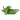 Serrano Chili (avg. 0.1lb) at a Great Price at BalPary Mediterranean Middle East Products Online App Delivery image.