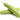 Opo Squash is available now at a Great Price at BalPary Russian Iranian Afghan Iraqi Arabic Mediterranean Middle East Products Online App Delivery image.