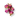 Rosebuds image is available now at BalPary. Great Price at BalPary Russian Iranian Afghan Iraqi Arab Mediterranean Middle East Products Online App and Free Delivery