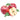 Cosmic Crisp Apple (avg. 0.65lb) at a Great Price at BalPary Mediterranean Middle East Products Online App Delivery image.