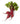 Organic Beets Bunch is available now at a Great Price at BalPary Russian Iranian Afghan Iraqi Arabic Mediterranean Middle East Products Online App Delivery image.