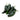 Fresh Pasilla Chili (avg. 0.25lb) at a Great Price at BalPary Mediterranean Middle East Products Online App Delivery image.