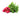 Radishes is available now at a Great Price at BalPary Russian Iranian Afghan Iraqi Arabic Mediterranean Middle East Products Online App Delivery image.