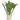 Fennel (avg. 0.55lb) at a Great Price at BalPary Mediterranean Middle East Products Online App Delivery image.