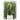 Coast Okra at a Great Price at BalPary Mediterranean Middle East Products Online App Delivery image.