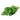 Italian Parsley at a Great Price at BalPary Mediterranean Middle East Products Online App Delivery image.