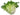 Endive Lettuce is available now at a Great Price at BalPary Russian Iranian Afghan Iraqi Arabic Mediterranean Middle East Products Online App Delivery image.