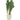 Bok Choy (avg. 1.4lb) at a Great Price at BalPary Mediterranean Middle East Products Online App Delivery image.