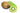 Kiwi is available now at a Great Price at BalPary Russian Iranian Afghan Iraqi Arabic Mediterranean Middle East Products Online App Delivery image.