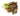 Organic Red Lettuce is available now at a Great Price at BalPary Russian Iranian Afghan Iraqi Arabic Mediterranean Middle East Products Online App Delivery image.