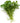 Fresh Watercress is available now at a Great Price at BalPary Russian Iranian Afghan Iraqi Arabic Mediterranean Middle East Products Online App Delivery image.