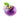 Turnips (avg. 0.7lb) at a Great Price at BalPary Mediterranean Middle East Products Online App Delivery image.