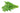 Dandelion Greens is available now at a Great Price at BalPary Russian Iranian Afghan Iraqi Arabic Mediterranean Middle East Products Online App Delivery image.