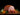 Boar's Head Black Forest Ham is available now at a Great Price at BalPary Russian Iranian Afghan Iraqi Arabic Mediterranean Middle East Products Online App Delivery image.
