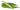 Regular Okra is available now at a Great Price at BalPary Russian Iranian Afghan Iraqi Arabic Mediterranean Middle East Products Online App Delivery image.
