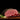 Boar's Head Pastrami is available now at a Great Price at BalPary Russian Iranian Afghan Iraqi Arabic Mediterranean Middle East Products Online App Delivery image.