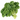 Green Kale is available now at a Great Price at BalPary Russian Iranian Afghan Iraqi Arabic Mediterranean Middle East Products Online App Delivery image.