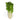 Bok Choy is available now at a Great Price at BalPary Russian Iranian Afghan Iraqi Arabic Mediterranean Middle East Products Online App Delivery image.
