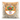 Grandma’s Veal Soup Mini Pelmeni 1 lb is available now at a Great Price at BalPary Russian Iranian Afghan Iraqi Arabic Mediterranean Middle East Products Online App Delivery image.