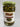 Pickled Cucumber Super Vijeh at a Great Price at BalPary Mediterranean Middle East Products Online App Delivery image.