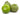 Tomatillos is available now at a Great Price at BalPary Russian Iranian Afghan Iraqi Arabic Mediterranean Middle East Products Online App Delivery image.