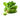 Spinach is available now at a Great Price at BalPary Russian Iranian Afghan Iraqi Arabic Mediterranean Middle East Products Online App Delivery image.