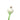 Mexican Green Onions is available now at a Great Price at BalPary Russian Iranian Afghan Iraqi Arabic Mediterranean Middle East Products Online App Delivery image.