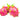 Dragonfruit is available now at a Great Price at BalPary Russian Iranian Afghan Iraqi Arabic Mediterranean Middle East Products Online App Delivery image.