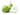 D'Anjou Pears is available now at a Great Price at BalPary Russian Iranian Afghan Iraqi Arabic Mediterranean Middle East Products Online App Delivery image.